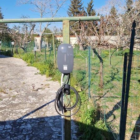 B&B Quattrostelle Cavallino di Lecce Exteriér fotografie